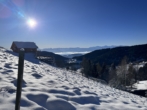 Bild - “Sonnenverwöhntes Grundstück in Traumlage und vielseitigem Potenzial!