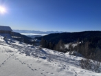 Titelbild - “Sonnenverwöhntes Grundstück in Traumlage und vielseitigem Potenzial!
